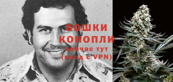 мяу мяу мука Белокуриха